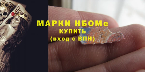 сатива Новокубанск