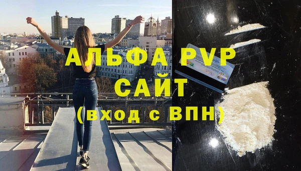 сатива Новокубанск
