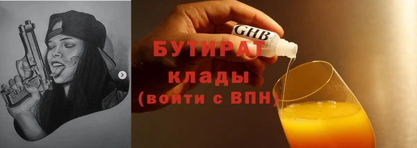 сатива Новокубанск