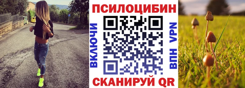 что такое   ссылка на мегу ссылки  нарко площадка какой сайт  Мирный  Галлюциногенные грибы мухоморы 